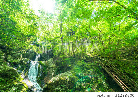 《東京都》海沢渓谷・三ツ釜の滝《奥多摩》 31233600