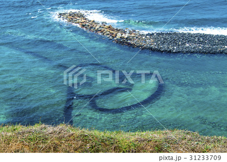 湾 ベイ 港 31233709