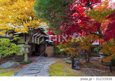 南昌荘の紅葉（岩手県盛岡市） 31233930
