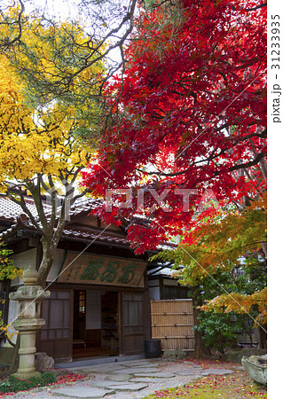 南昌荘の紅葉（岩手県盛岡市） 31233935