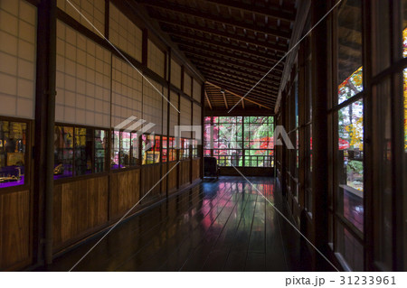 南昌荘の紅葉（岩手県盛岡市） 31233961