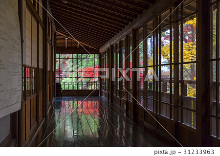 南昌荘の紅葉（岩手県盛岡市） 31233963