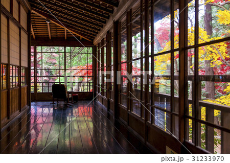 南昌荘の紅葉（岩手県盛岡市） 31233970