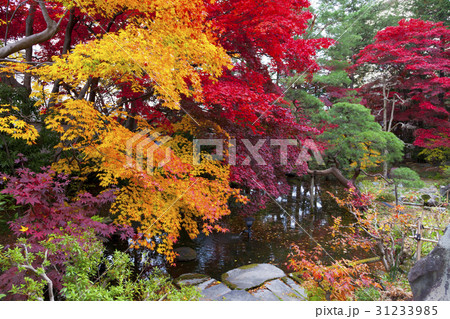 南昌荘の紅葉（岩手県盛岡市） 31233985