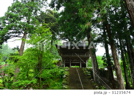 小浜市　明通寺の山門 31235674