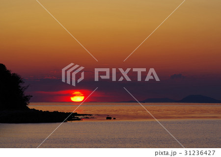 夕焼け 31236427