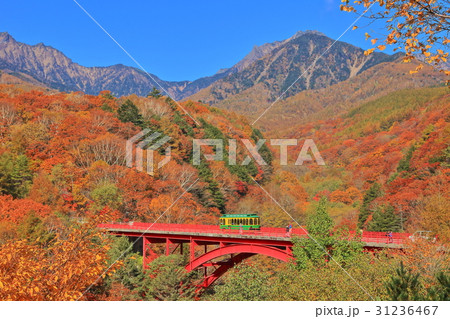 紅葉最盛期の八ヶ岳 31236467