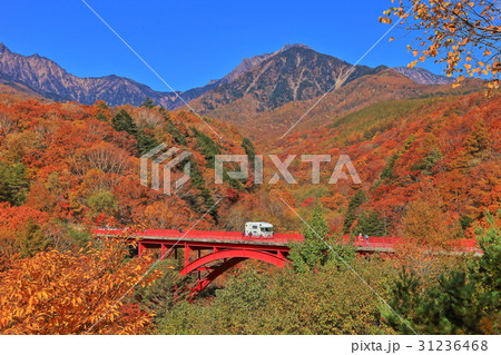 紅葉最盛期の八ヶ岳 31236468