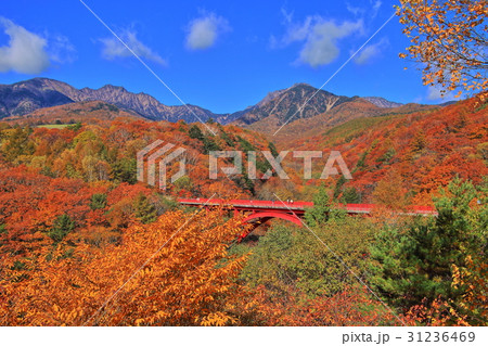 紅葉最盛期の八ヶ岳 31236469