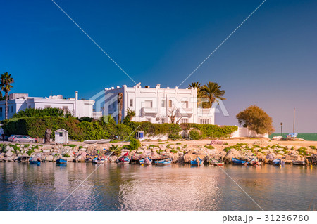 White house in Tunisia 31236780