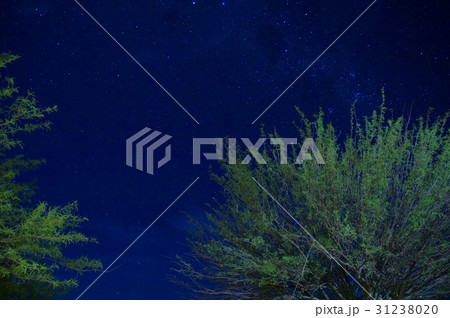 ナミビア BETESDA GUEST FARM 夜景 31238020