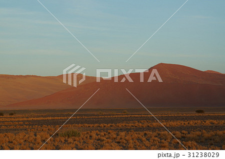 ナミブ砂漠 デューン1 朝焼け 31238029