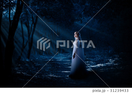 Young elven girl Young elven girl 31239433