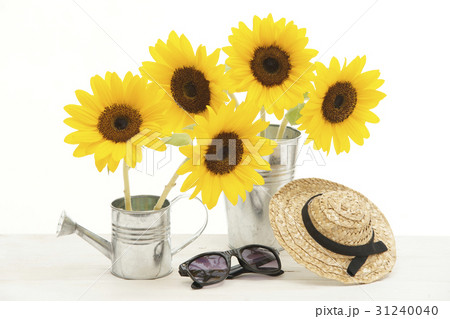 ひまわりとバケツ 31240040