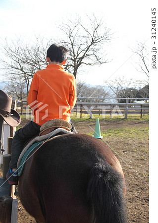乗馬 31240145