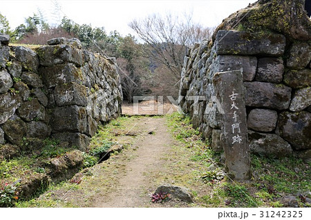 岡城 岡城 31242325