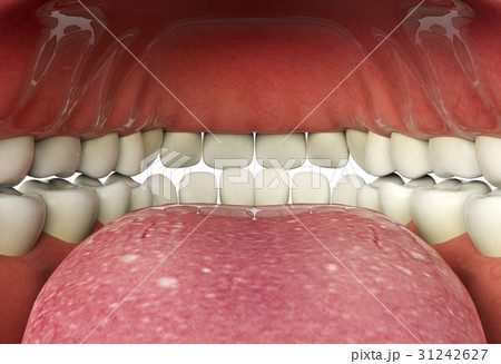 Close up of human mouth inner, oral health concept 31242627