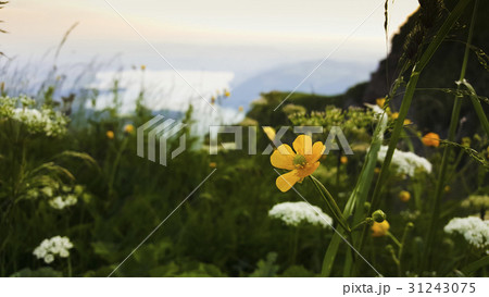 景色 風景 ヨーロッパ 31243075