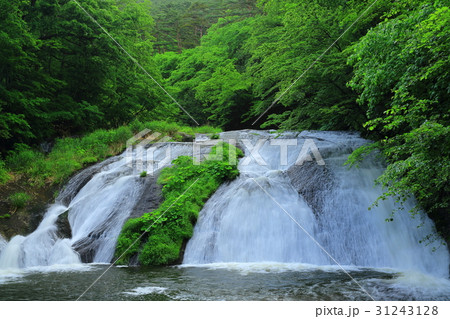 夏の釜淵の滝 31243128