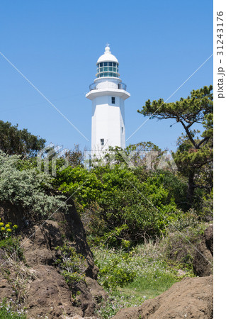 野島埼灯台 31243176