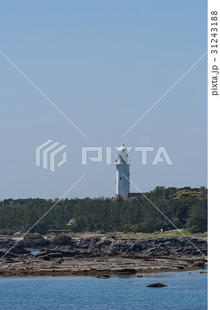 野島埼灯台 野島埼灯台 31243188