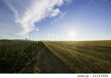 丘の風景　美瑛 31243406