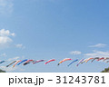 青空を泳ぐ鯉のぼり 31243781