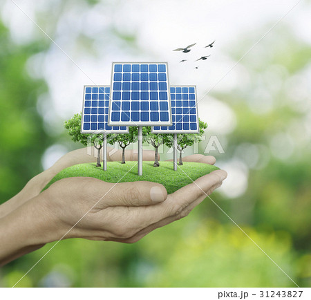 Solar cell in man hands over blur green tree Solar cell in man hands over blur green tree 31243827