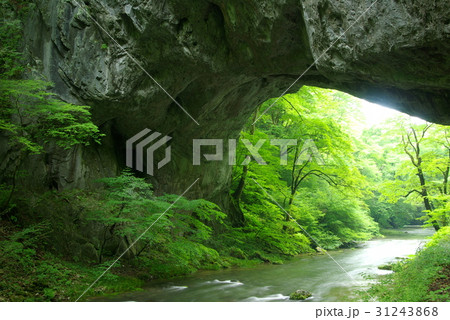 新緑と岩のトンネル 新緑と岩のトンネル 31243868