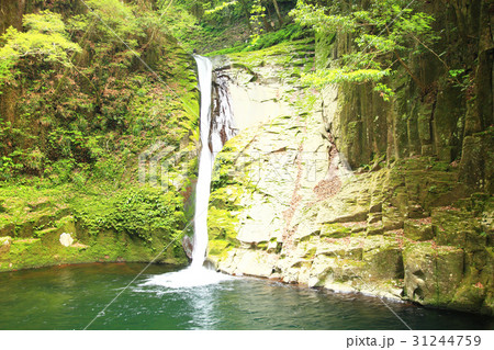 赤目四十八滝 赤目四十八滝 31244759