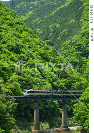 山間の橋梁を渡る特急『ワイドビューひだ』 31244849