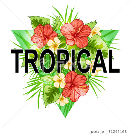 Abstract triangle tropical background Abstract triangle tropical background 31245168