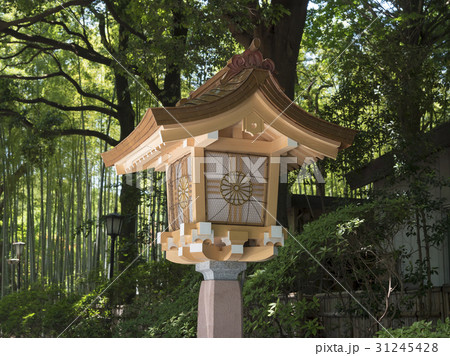 神社の境内を照らす灯籠 31245428