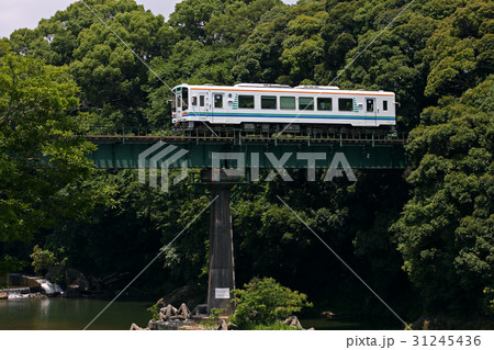 天竜浜名湖鉄道　夏 31245436