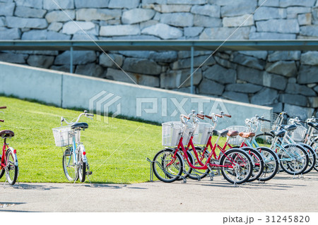 公園の貸自転車 公園の貸自転車 31245820
