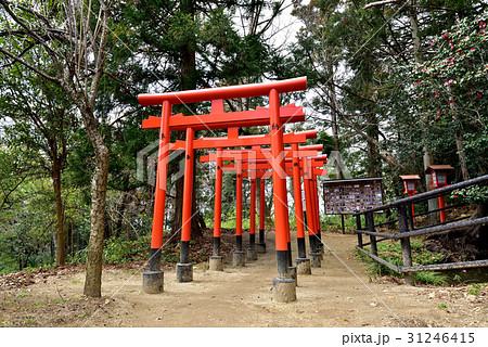 猫稲荷神社の写真素材