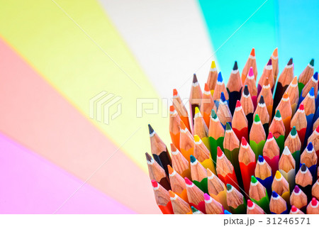 Bunch of sharp colorful pencils Bunch of sharp colorful pencils 31246571