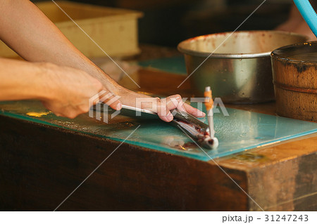 鰻を捌く手元 31247243