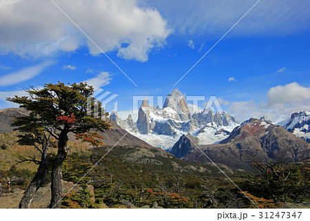 Mount Fitz Roy, Los Glaciares National Park Mount Fitz Roy, Los Glaciares National Park 31247347