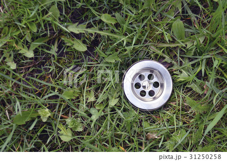 green grass drain 31250258