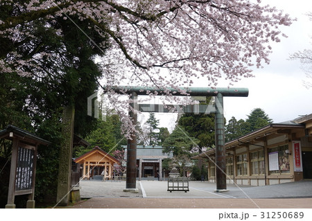 高岡古城公園 射水神社 31250689