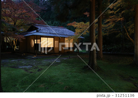 京都 紅葉 京都 紅葉 31251136