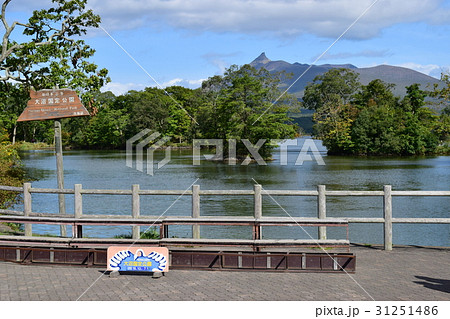 大沼国定公園 大沼国定公園 31251486