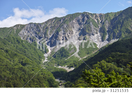 初夏の大山北壁 31251535