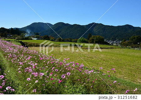 八瀬大原三千院 31251682