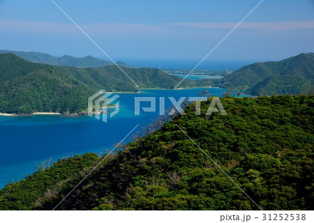 奄美　碧い龍郷湾の景色01 31252538