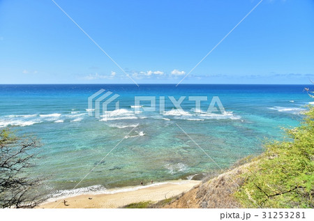 ハワイの休日 31253281