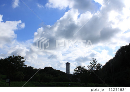 夏の空 31253624