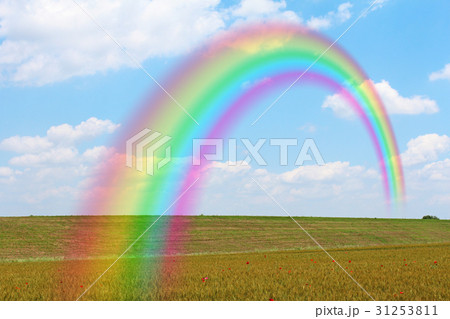 丘にかかる虹 31253811