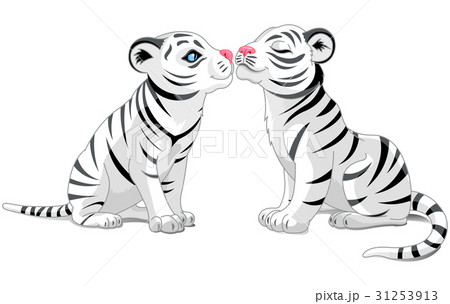 Two White Tigers in Love 31253913